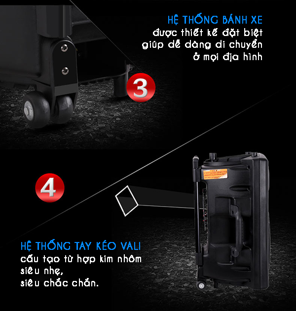 Loa trợ giảng dạng kéo Temeisheng 297L anh 2